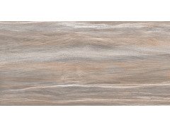 Esprit Wood WT9ESR21 Плитка настенная 250*500*9  